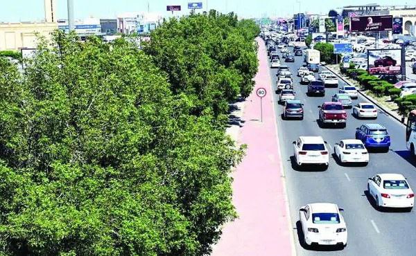 Greening Kuwait: Seven contracts signed for afforestation, maintenance