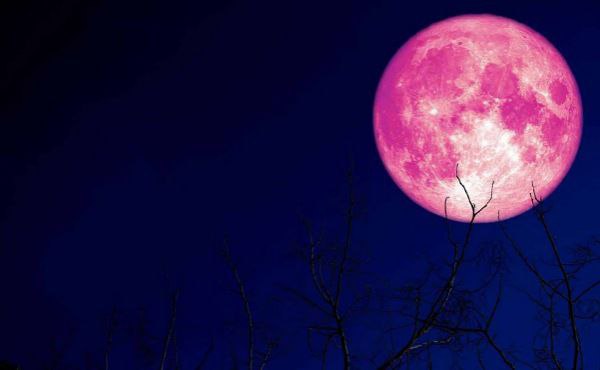 ‘Strawberry Moon’ to illuminate Kuwait on June 11